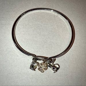 Silver Cat Lover Bangle